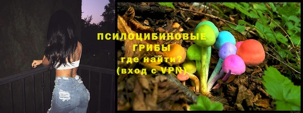 дмт Мегион