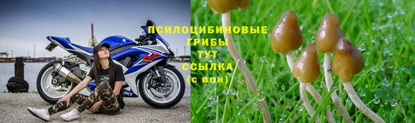 прущая мука Медвежьегорск