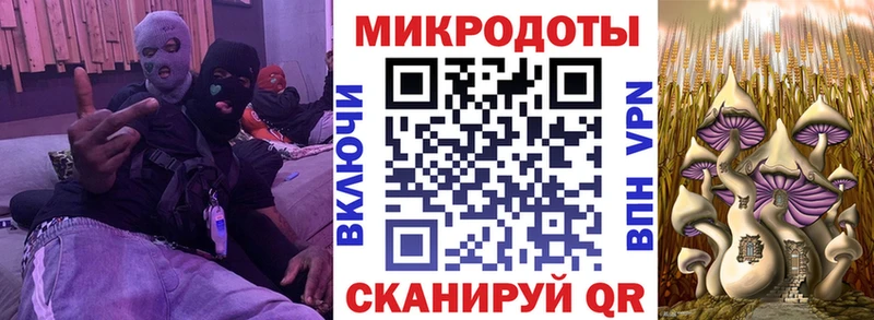Купить закладки Купино Галлюциногенные грибы GOLDEN TEACHER